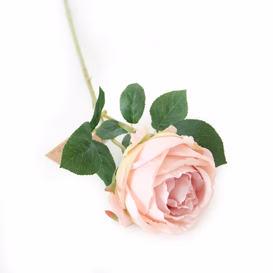 Custodia per telefono popolare Fiore per iPhone 11 PRO Xs Max Xr Moda donna Stampe floreali IMD Cover per telefono Fornitura di prodotti Accessori per telefoni cellulari